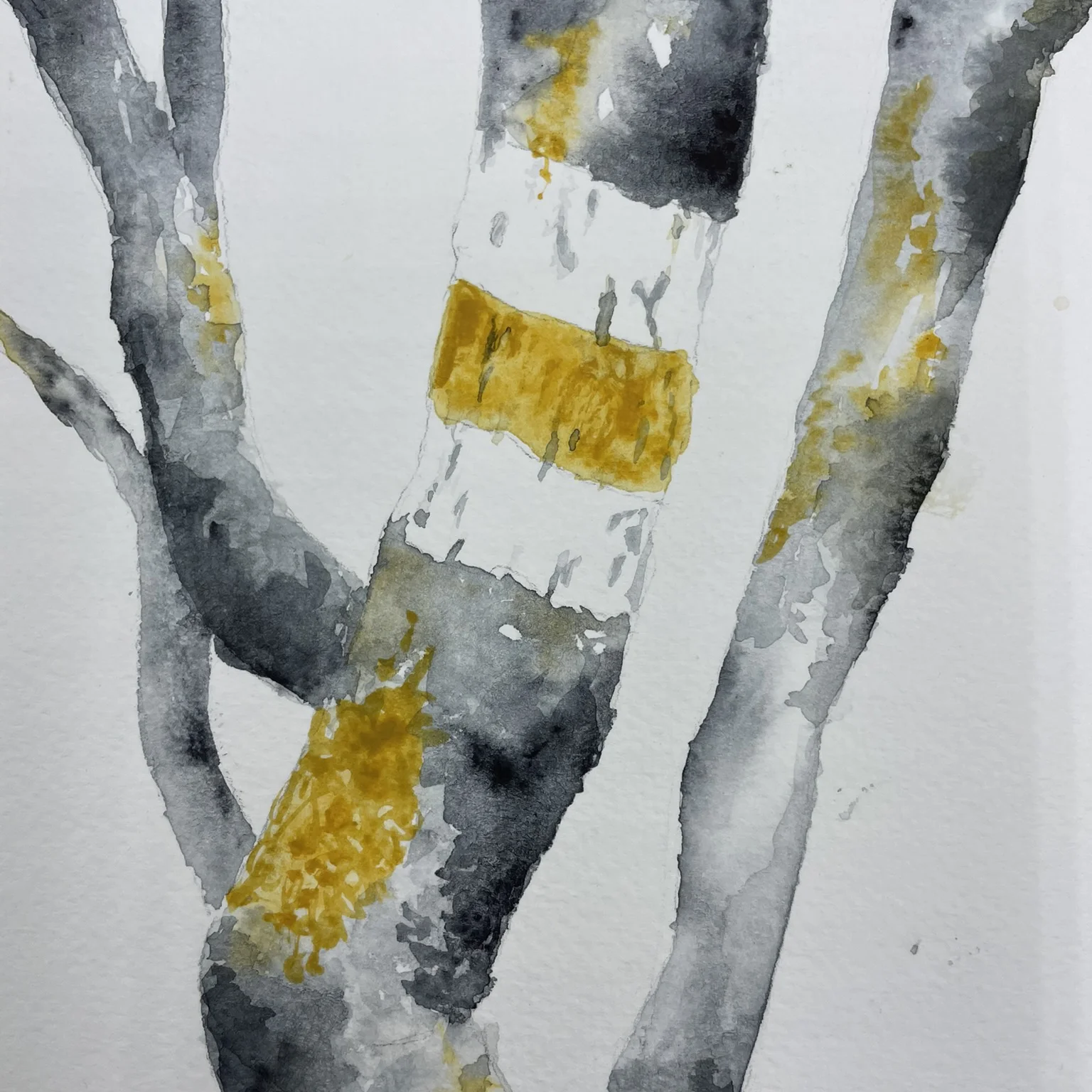 Yellow sign - original botanical watercolour painting