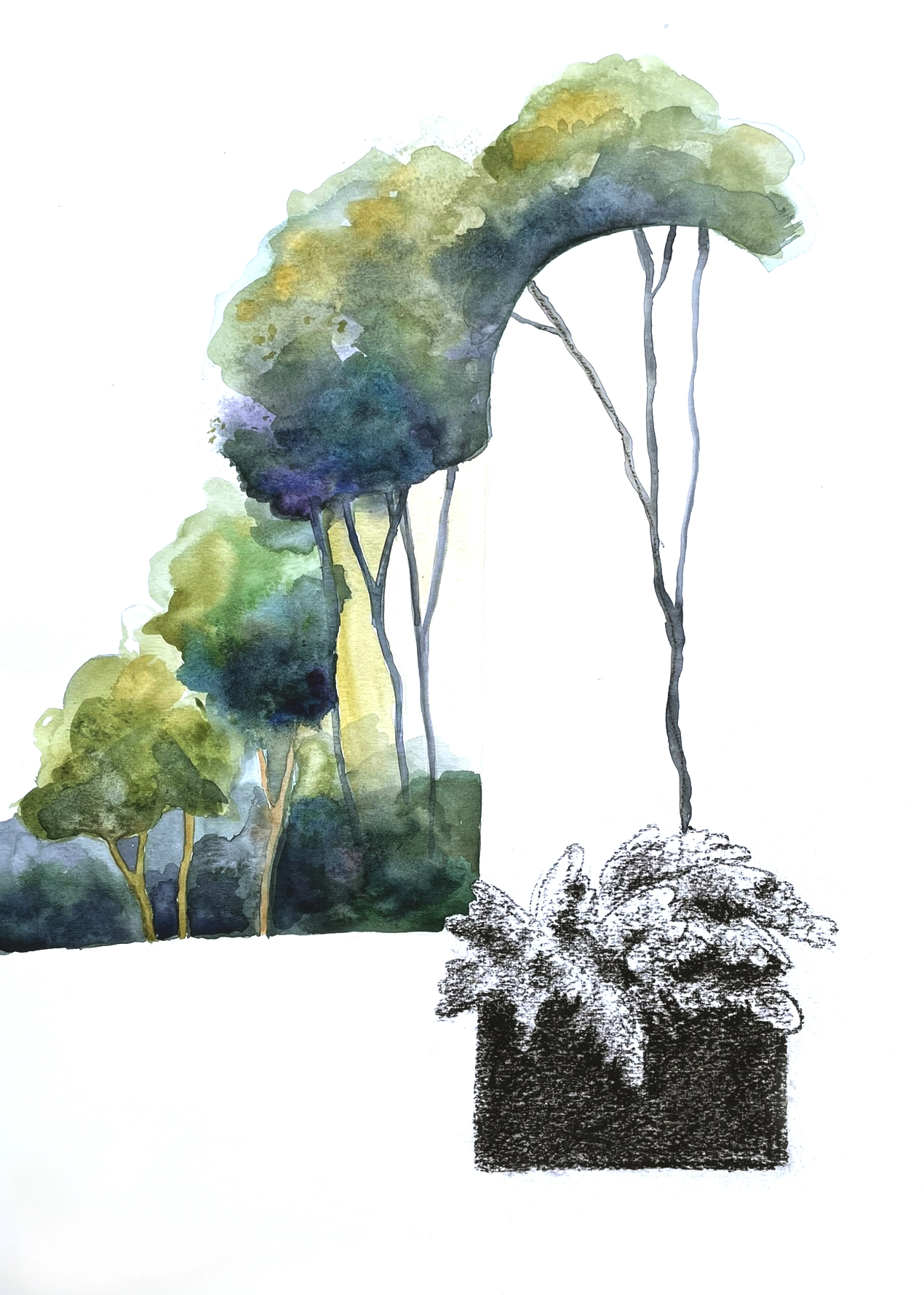 Lomb-templom_I_30x40cm_watercolor_chaircoal_onpaper Foliage Church V. - spiritual waterecolor painting where trees form a spiritual space