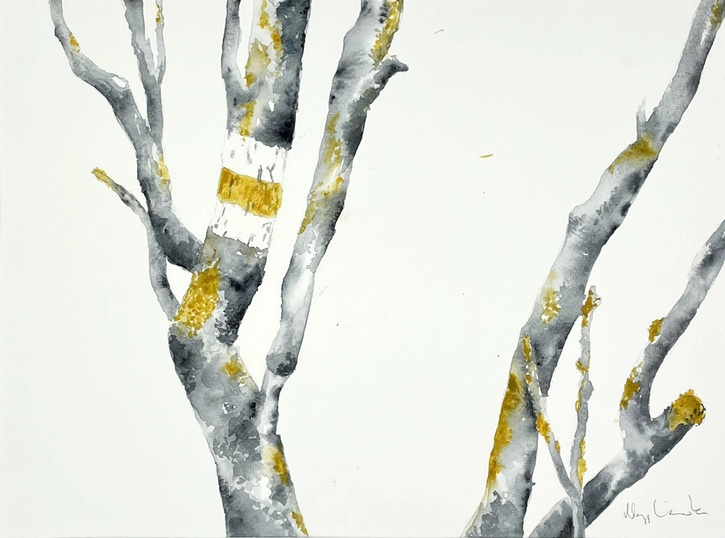 Yellow Signs by Veronika Nagy, a watercolour of grey tree trunks and slender branches dotted with golden-yellow lichen and a blaze.