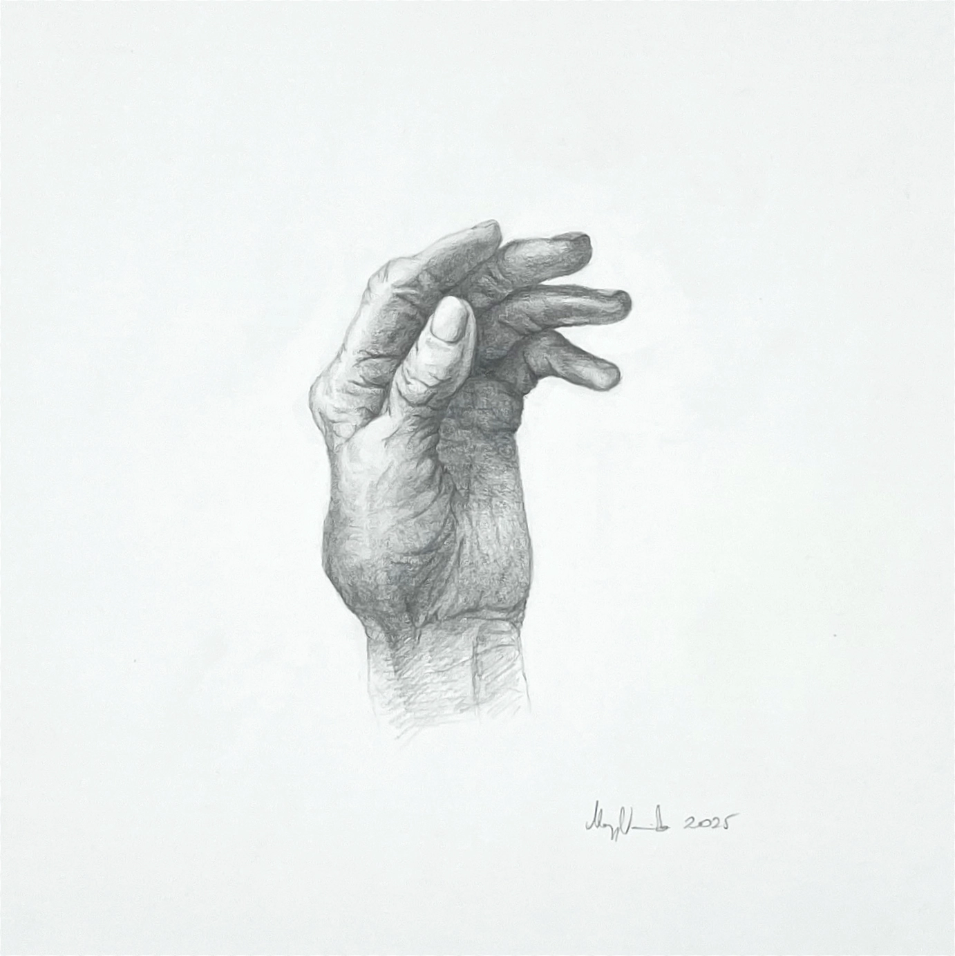 The Beauty of Transience IIA – pencil drawing of a woman's hand and a leaf; a pair of images depicting transience. The Beauty of Transience IIA – pencil drawing of a woman's hand and a leaf; a pair of images depicting transience.