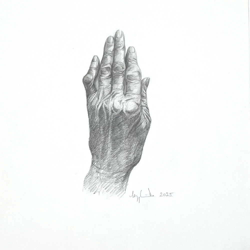 The Beauty of Transience IA – contemporary pencil drawing depicting an elderly woman’s hand, symbolizing transience.