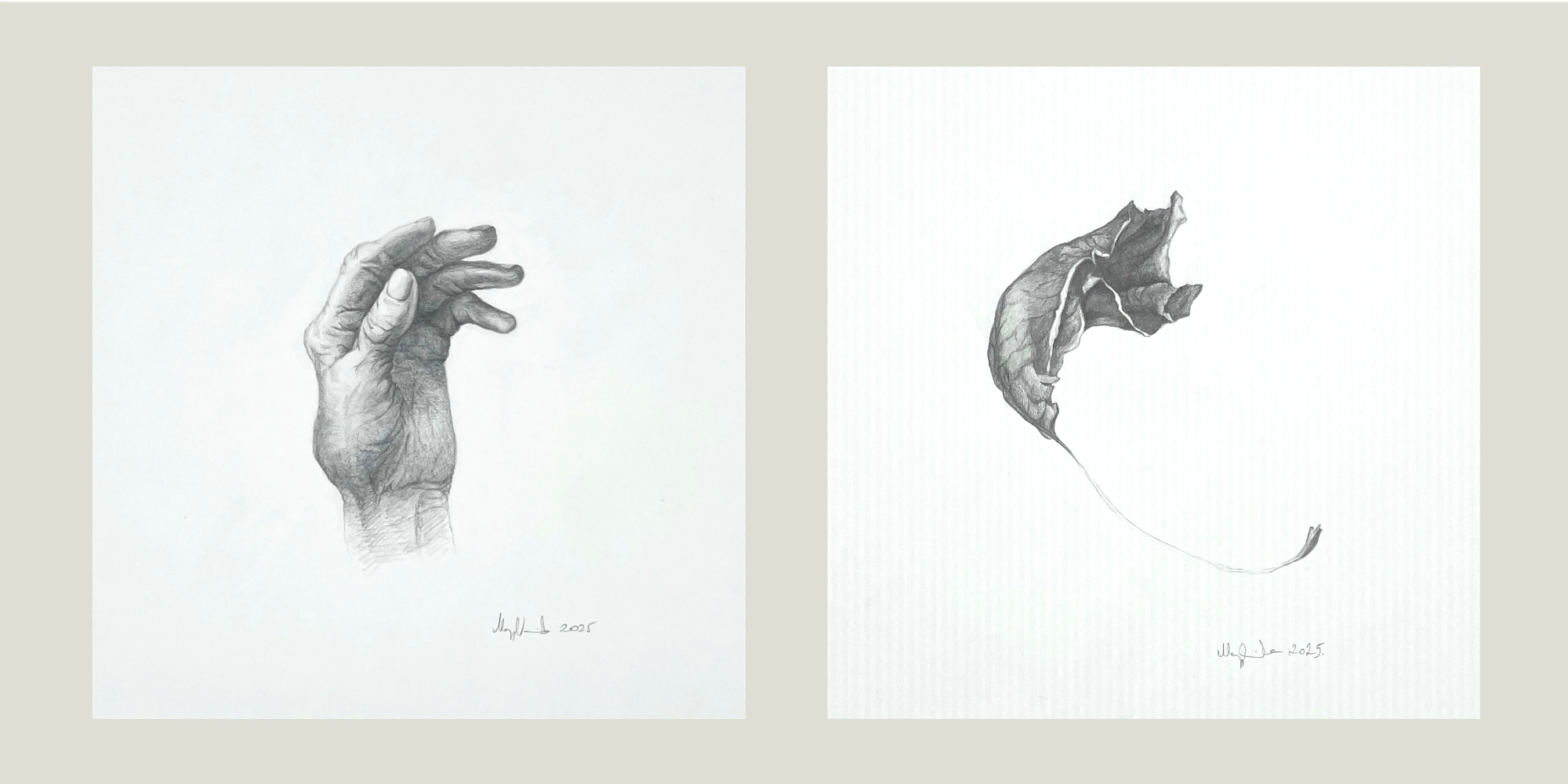 The Beauty of Transience II – contemporary graphic diptych featuring delicate pencil drawings of a dry leaf and an elderly hand.